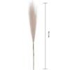 5 cm Krem 1 szt SZR05